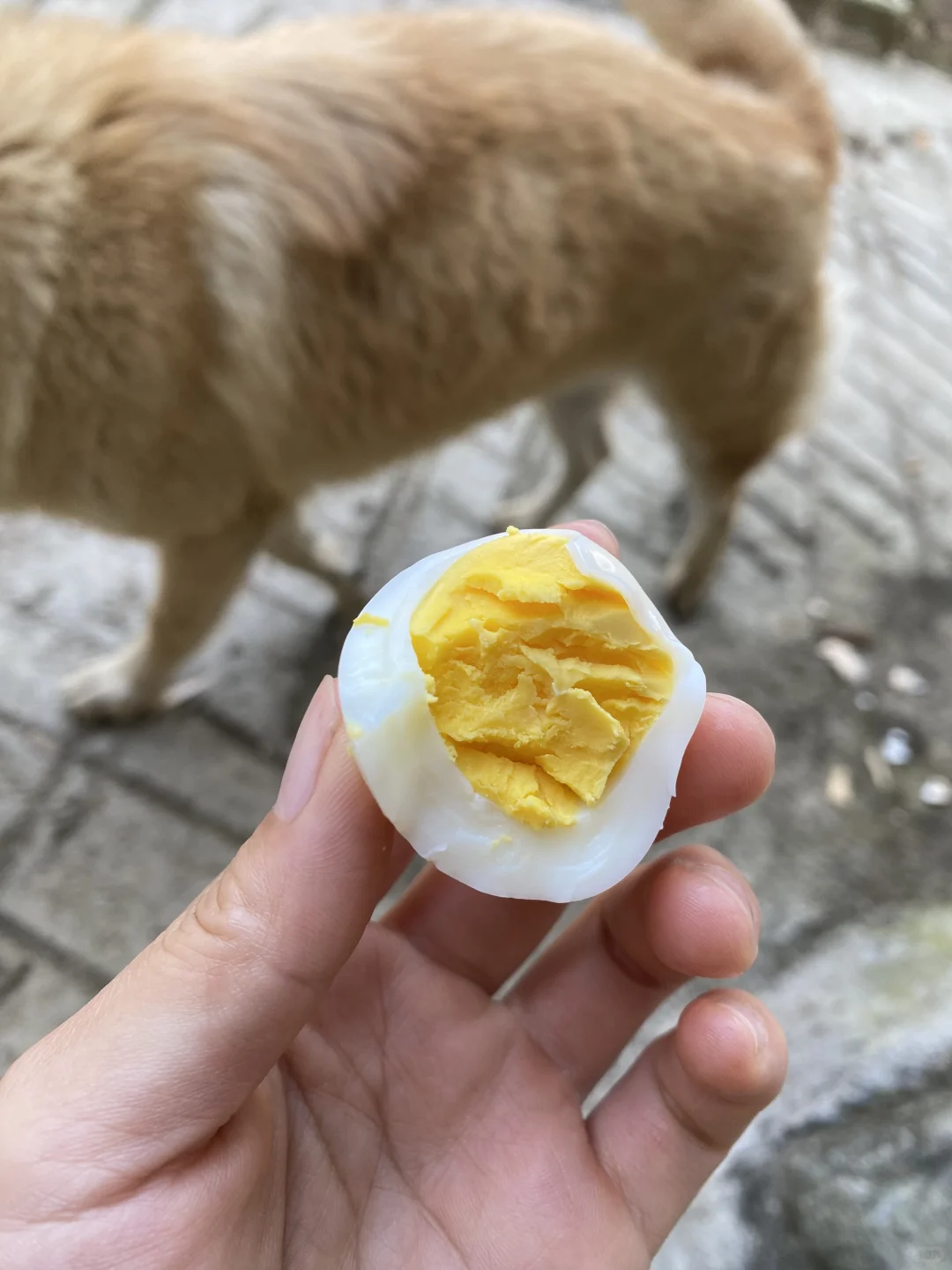 �Ҽҵļ�����Ȼ�󣬵��Ǳ��氡