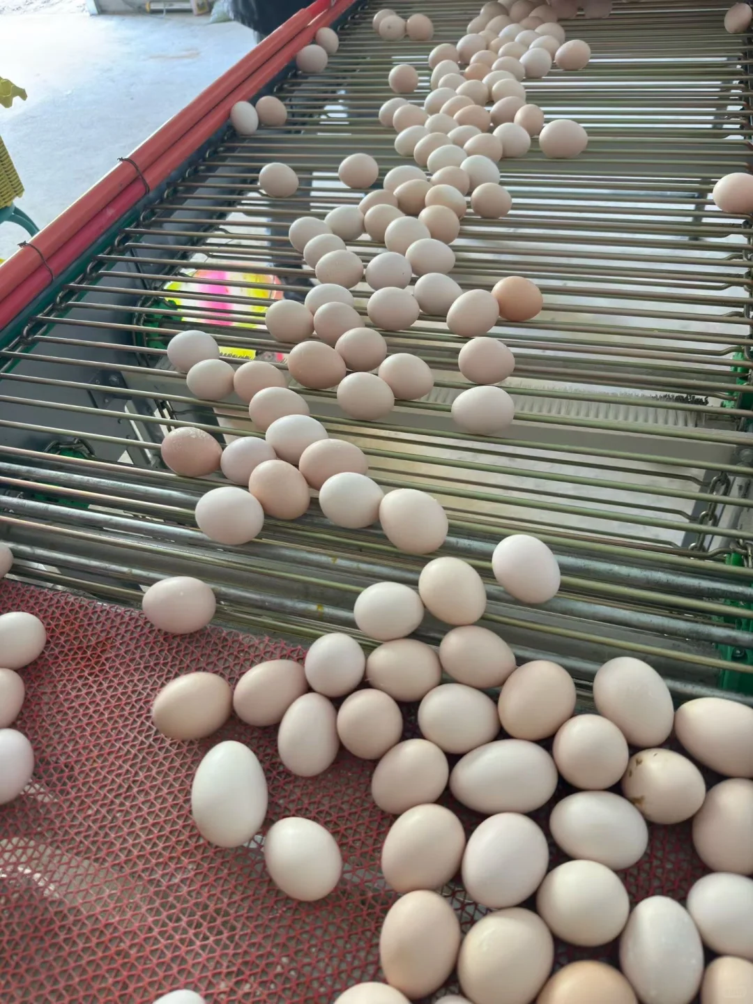 ����ֱ����������