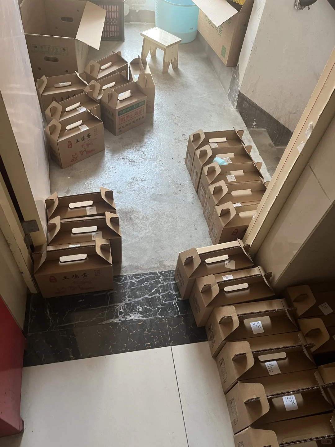 �ϼ�ɢ��������������ĸ��