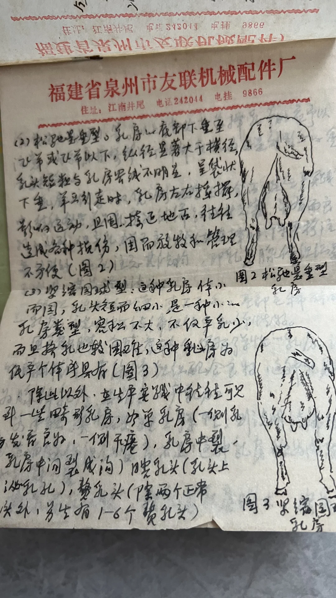 ������ָ��