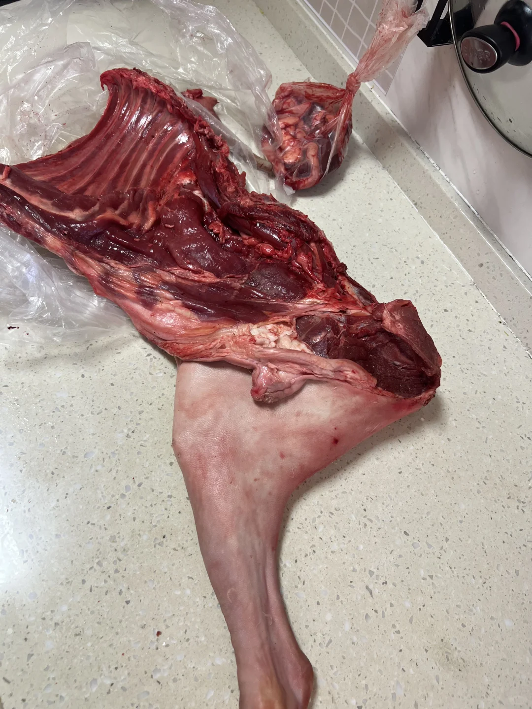 ���������