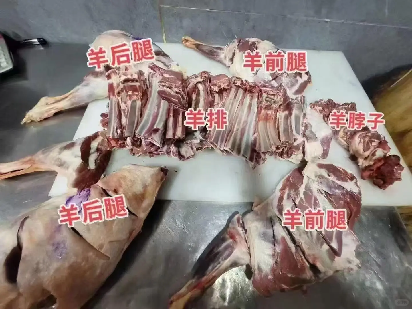 ���������⣬���ڿ�ʼ������