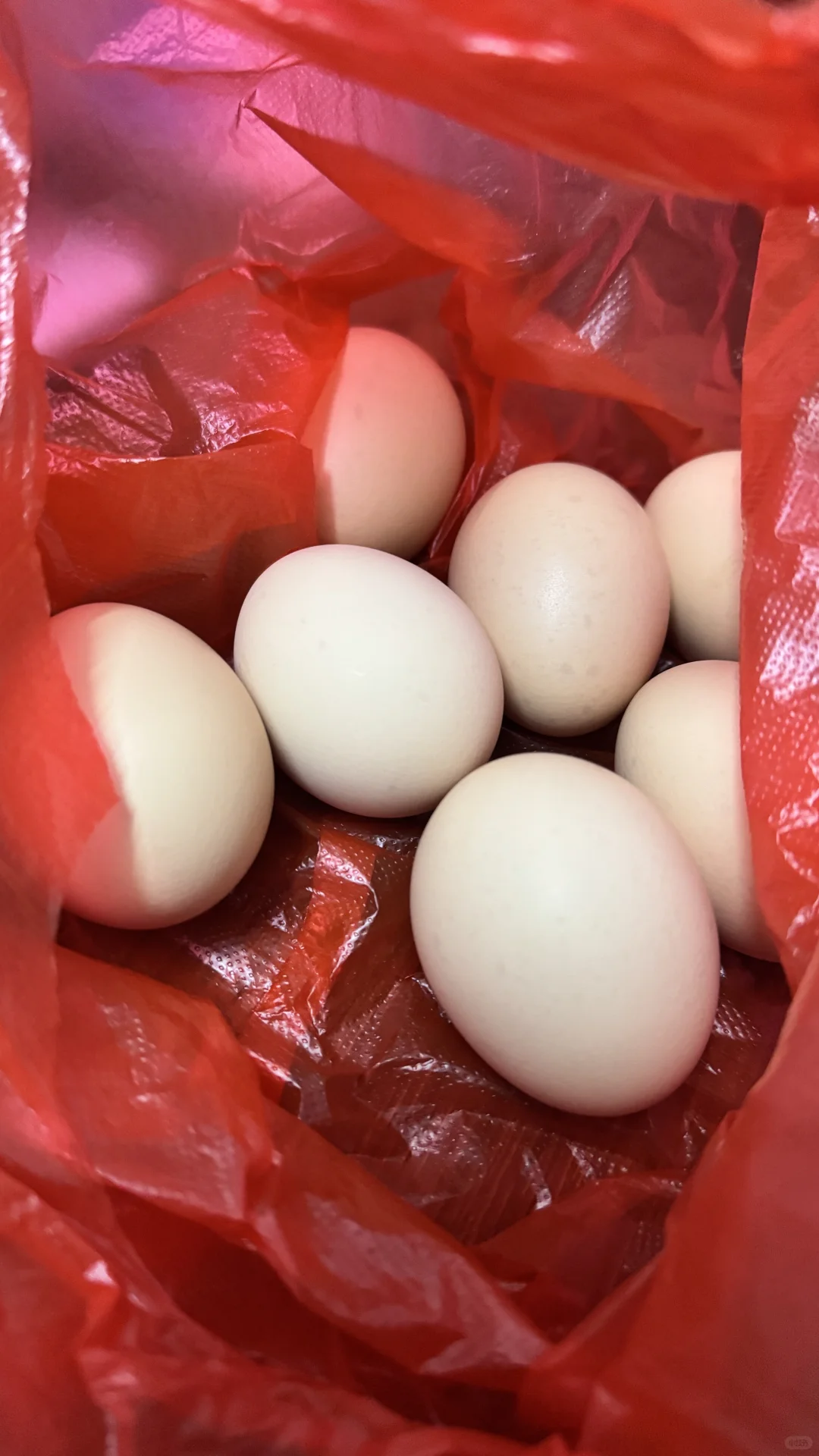 ������һ����ëǮһ���ļ�������