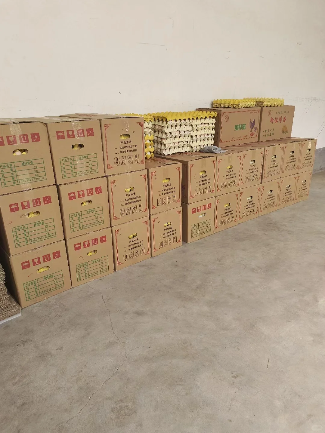 �����������������񼦵����ݼ���