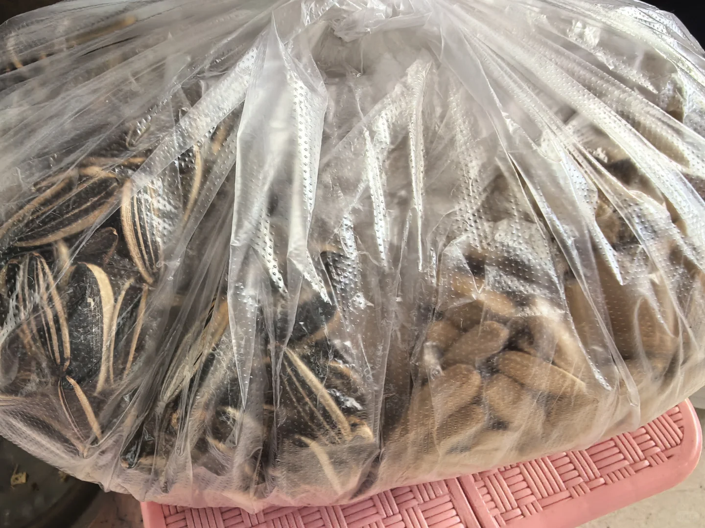 ����5.5һ�� ţ��35 �Ź�12