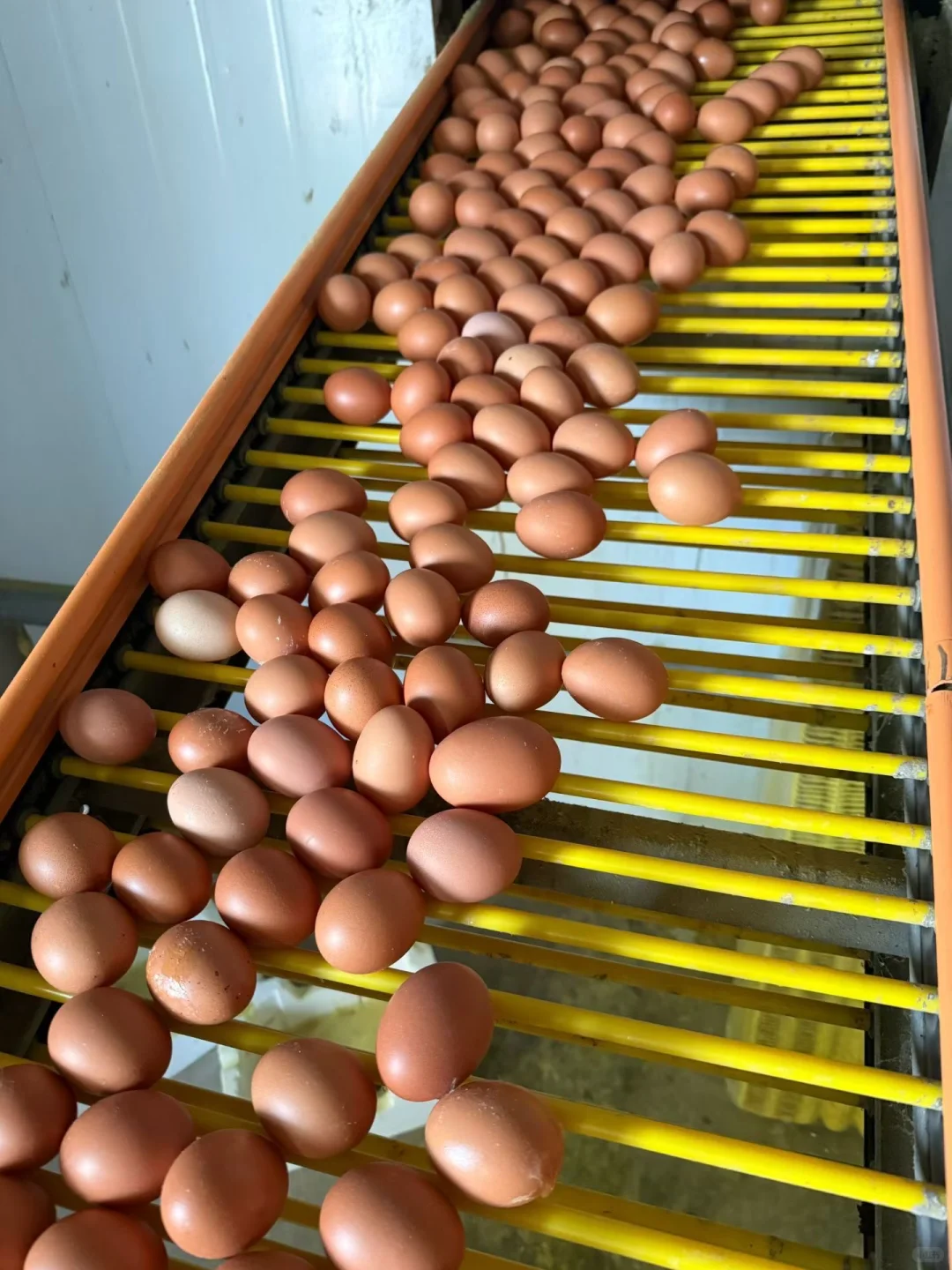 ����ֱ����������