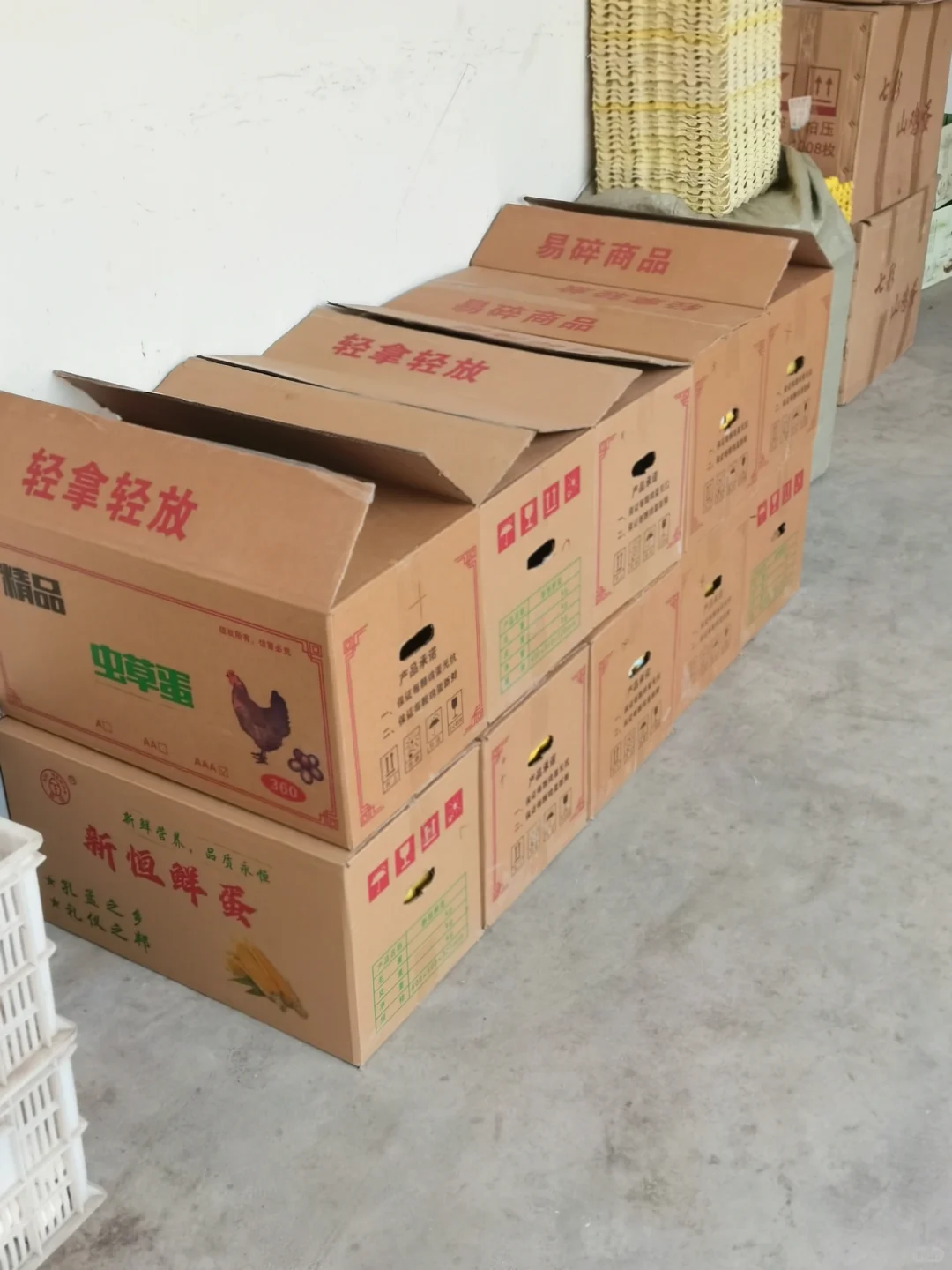 �����������������񼦵����ݼ���