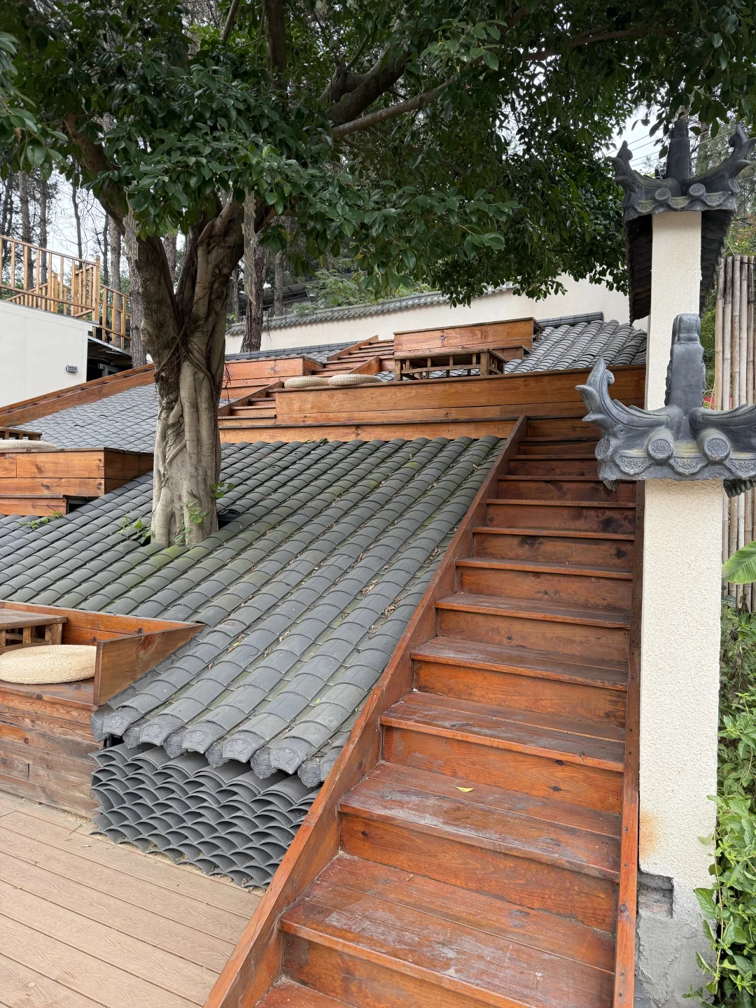 ?��ĩ��ȫ����������Լ��