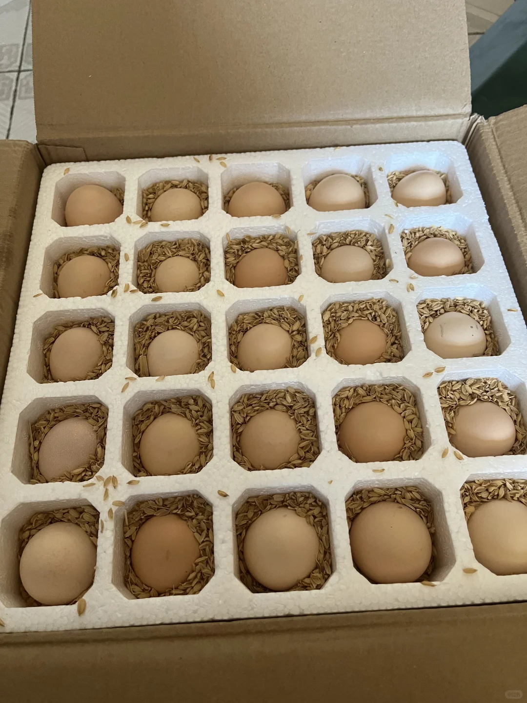 һ��С��޶��100������