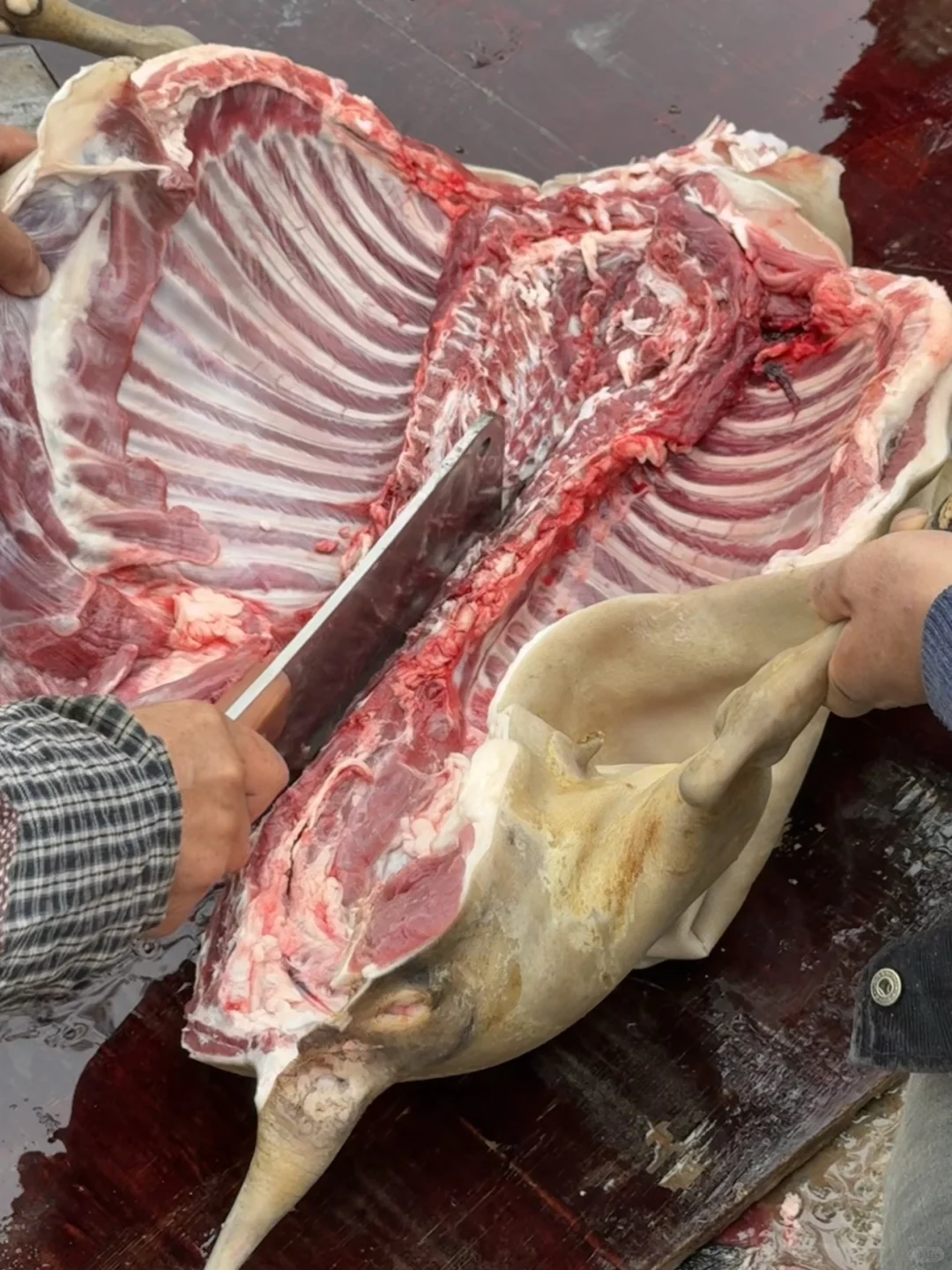 ���ݺ�ɽ����50һ�����