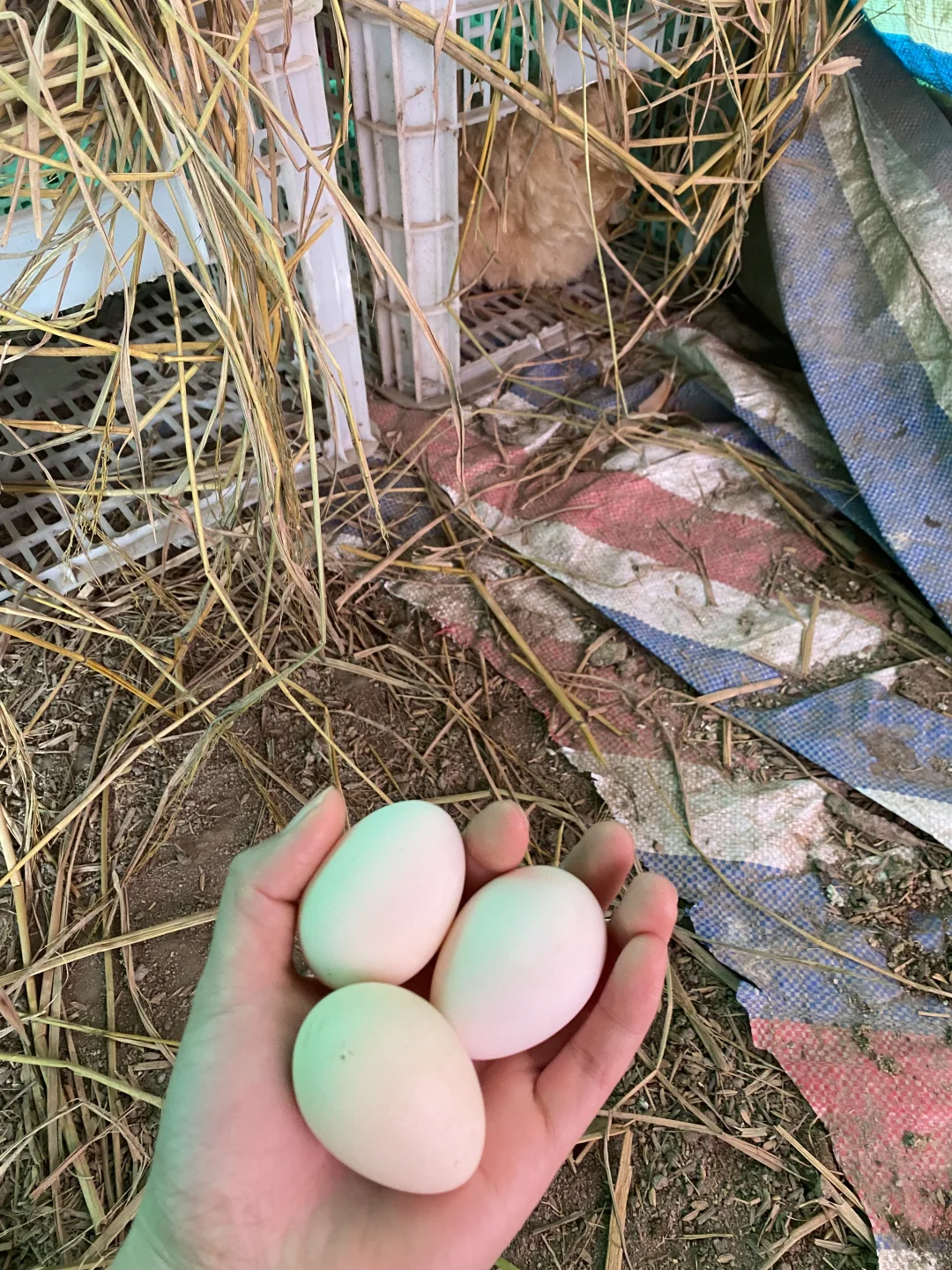 �Ҽҵļ�����Ȼ�󣬵��Ǳ��氡