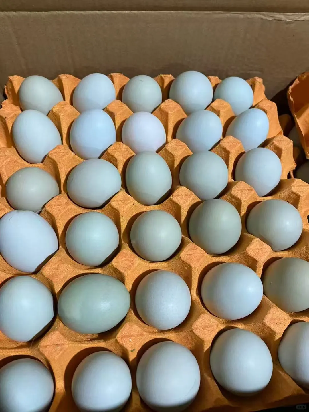 ������������Դ