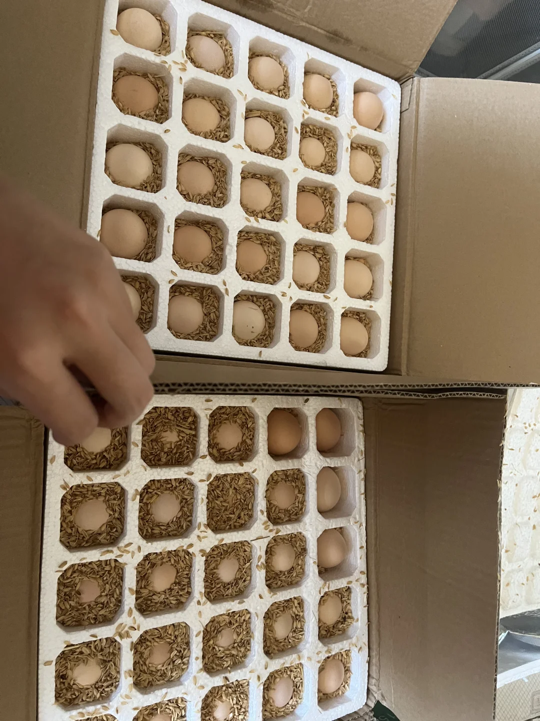 һ��С��޶��100������