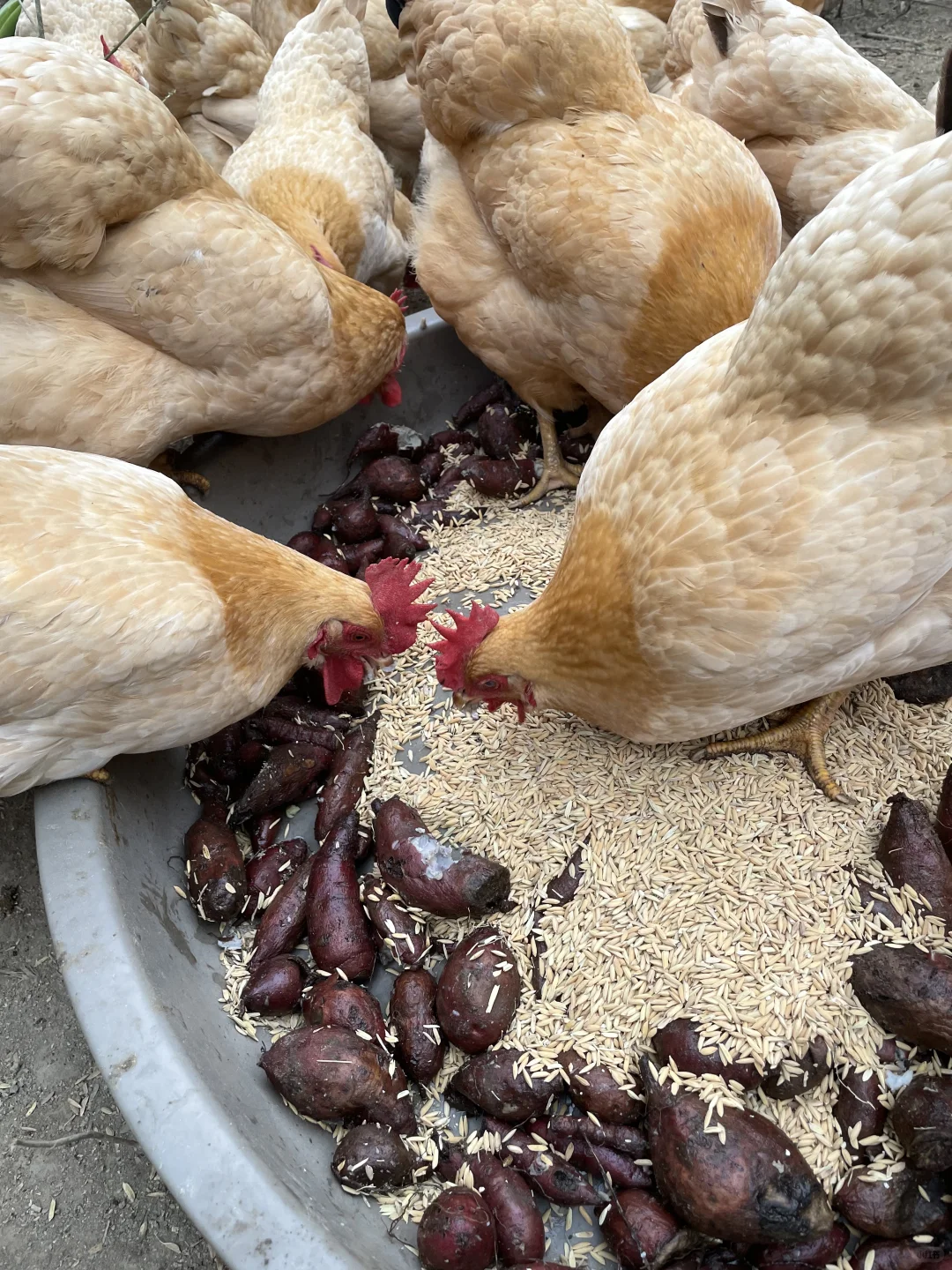 �Ҽҵļ�����Ȼ�󣬵��Ǳ��氡