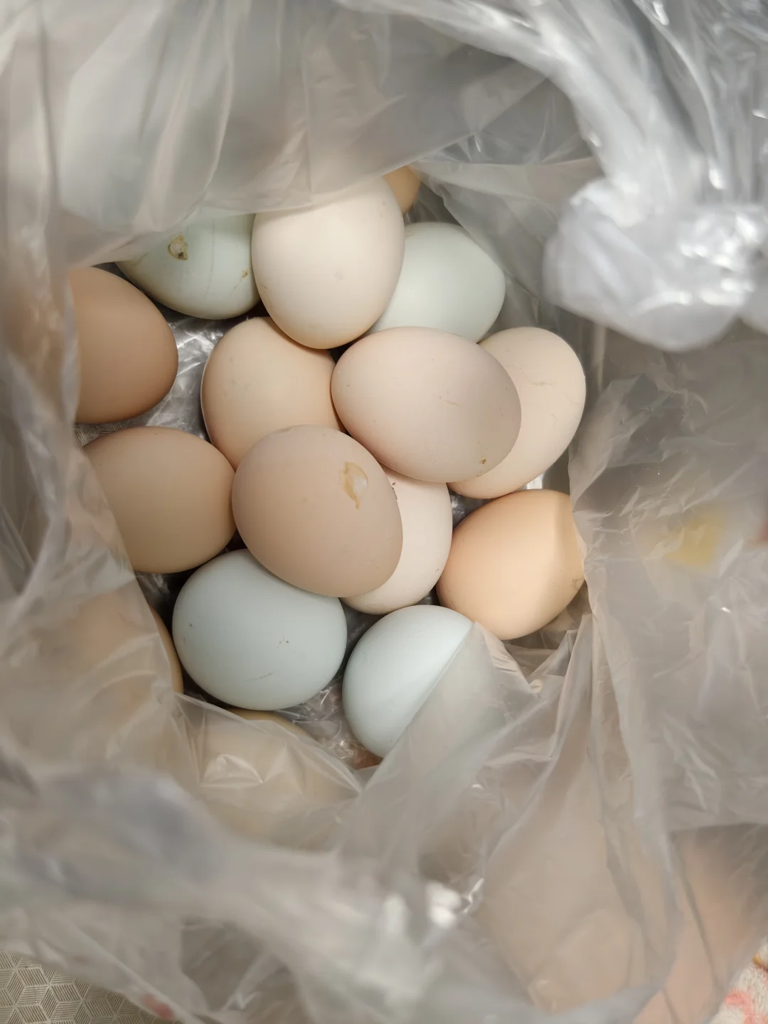 ��������ɡ�����Ǯһ�