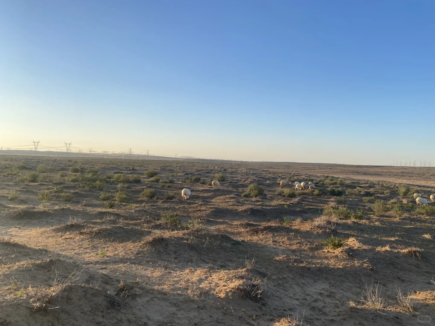 ��ʵ��������