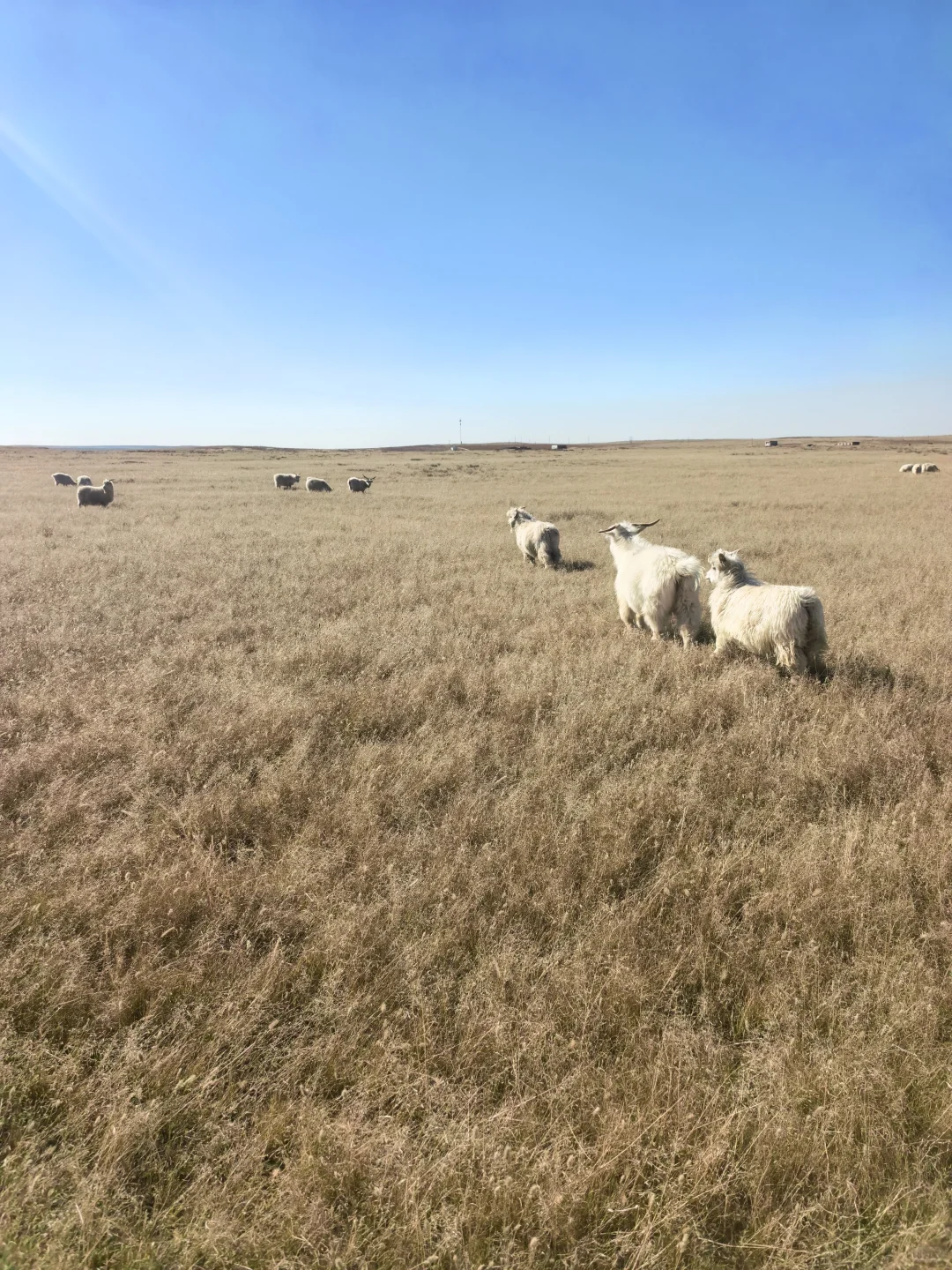 ����������������������ȥ�����ǲ�֪����