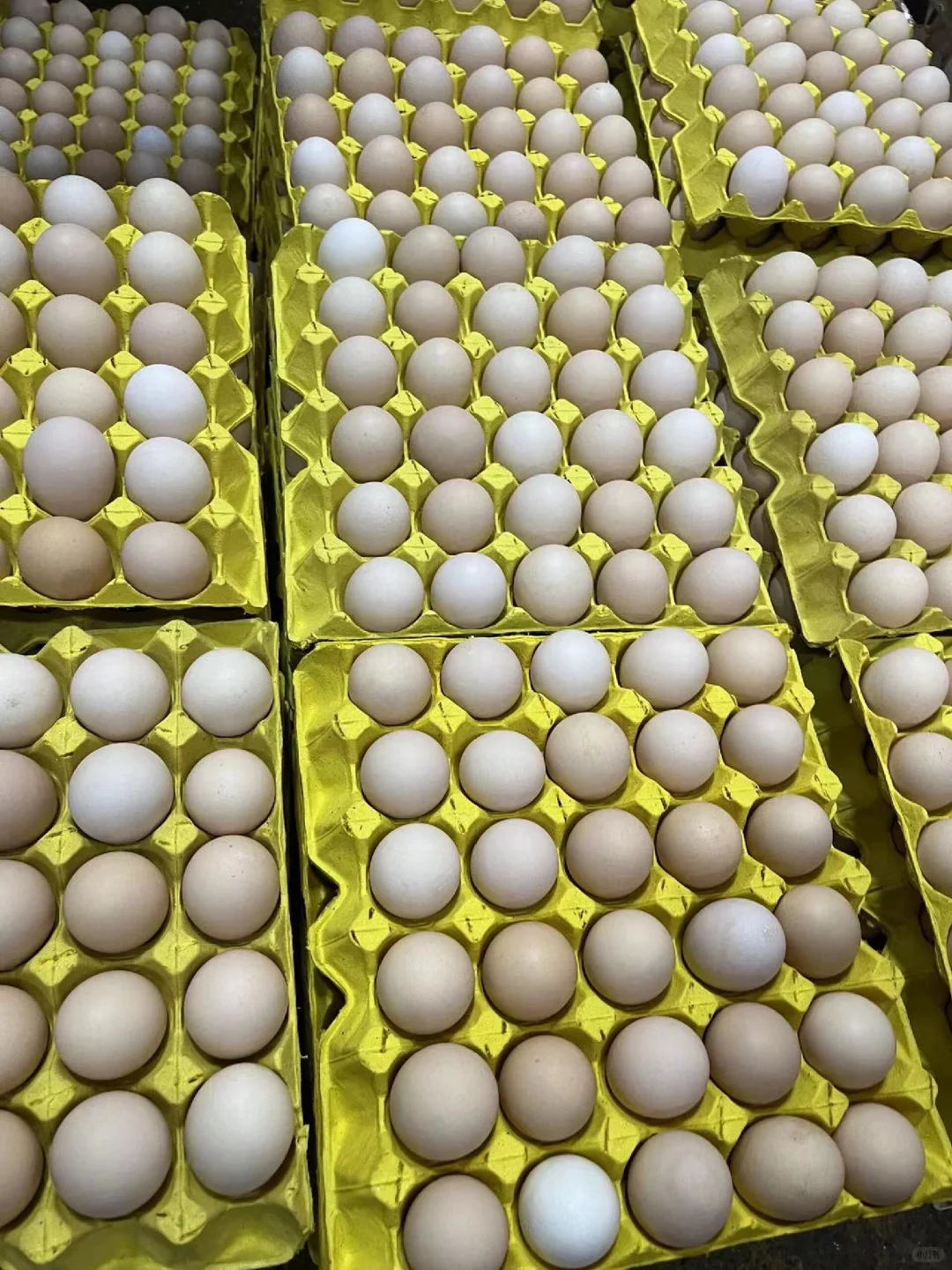 ����������������1000�O�ֿ⣬�ȣ�