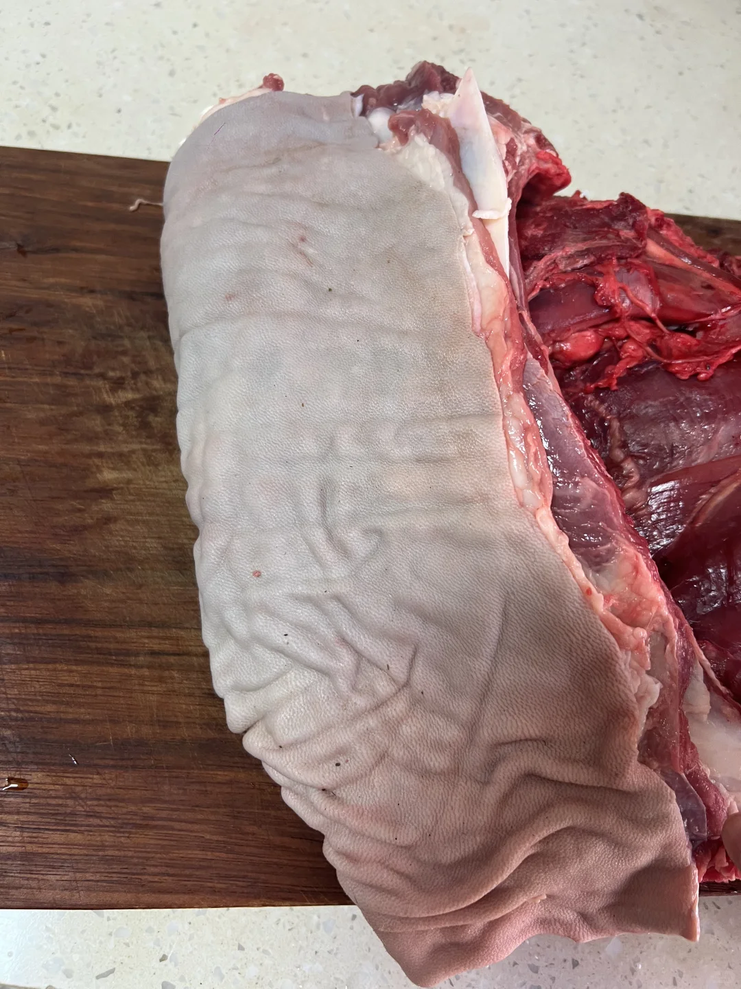 ���������