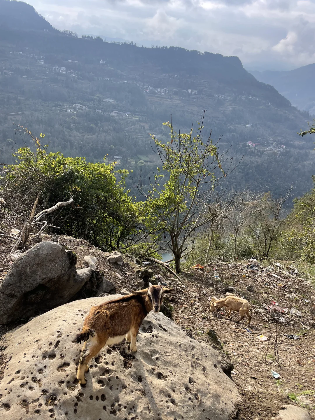 ������ʩ��ɽ��?