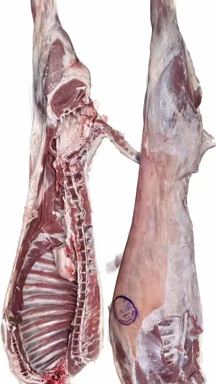 ������ ȫ������ ������֤