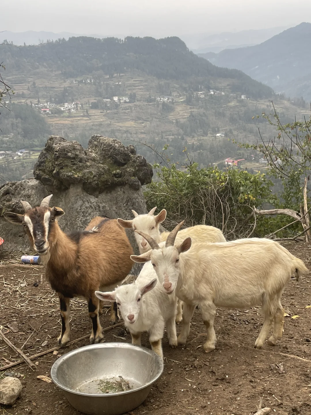 ������ʩ��ɽ��?