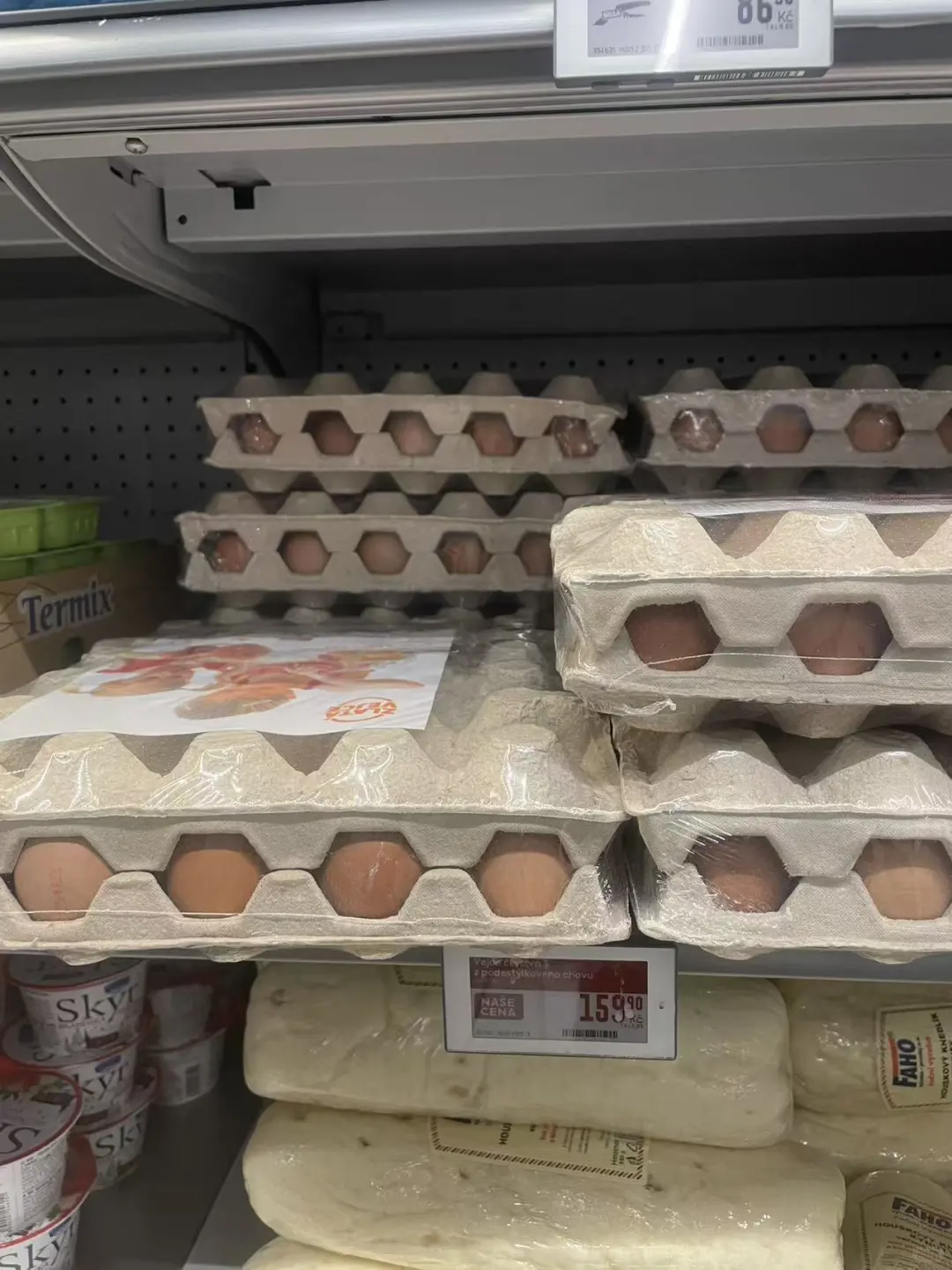 �ݿ��򼦵���?