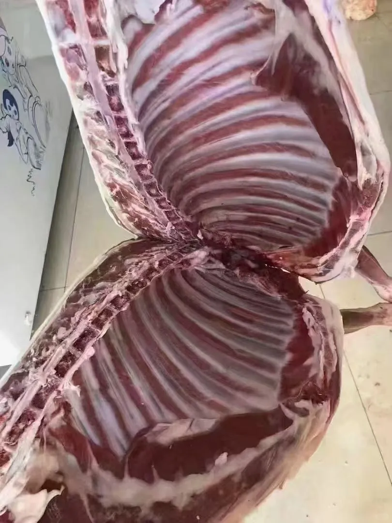 ���ɰ���������