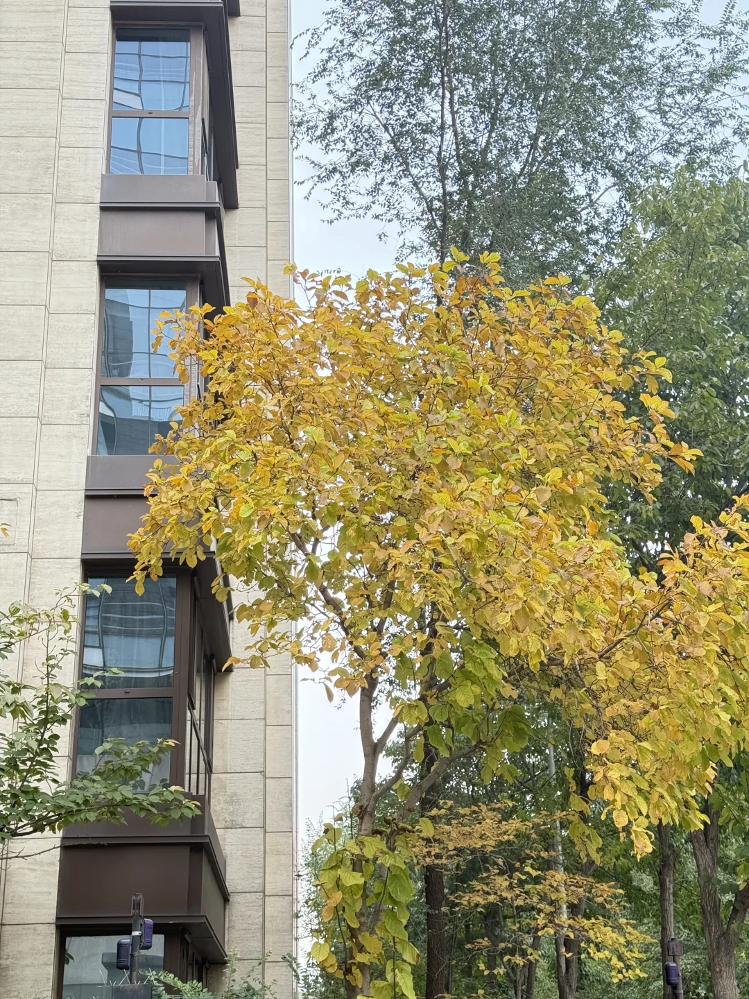 ����ȼ��ײ�����