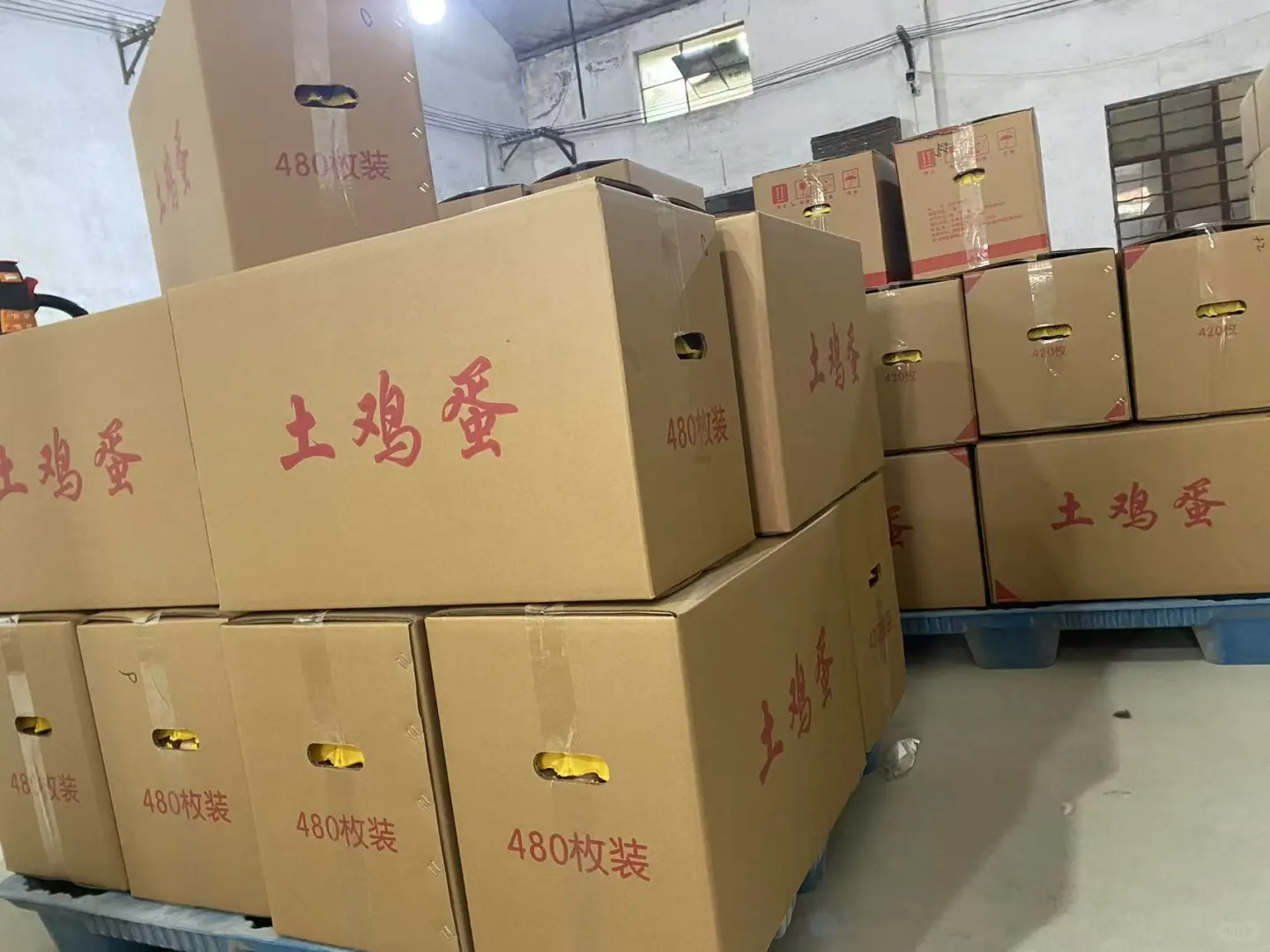 ������������Դ