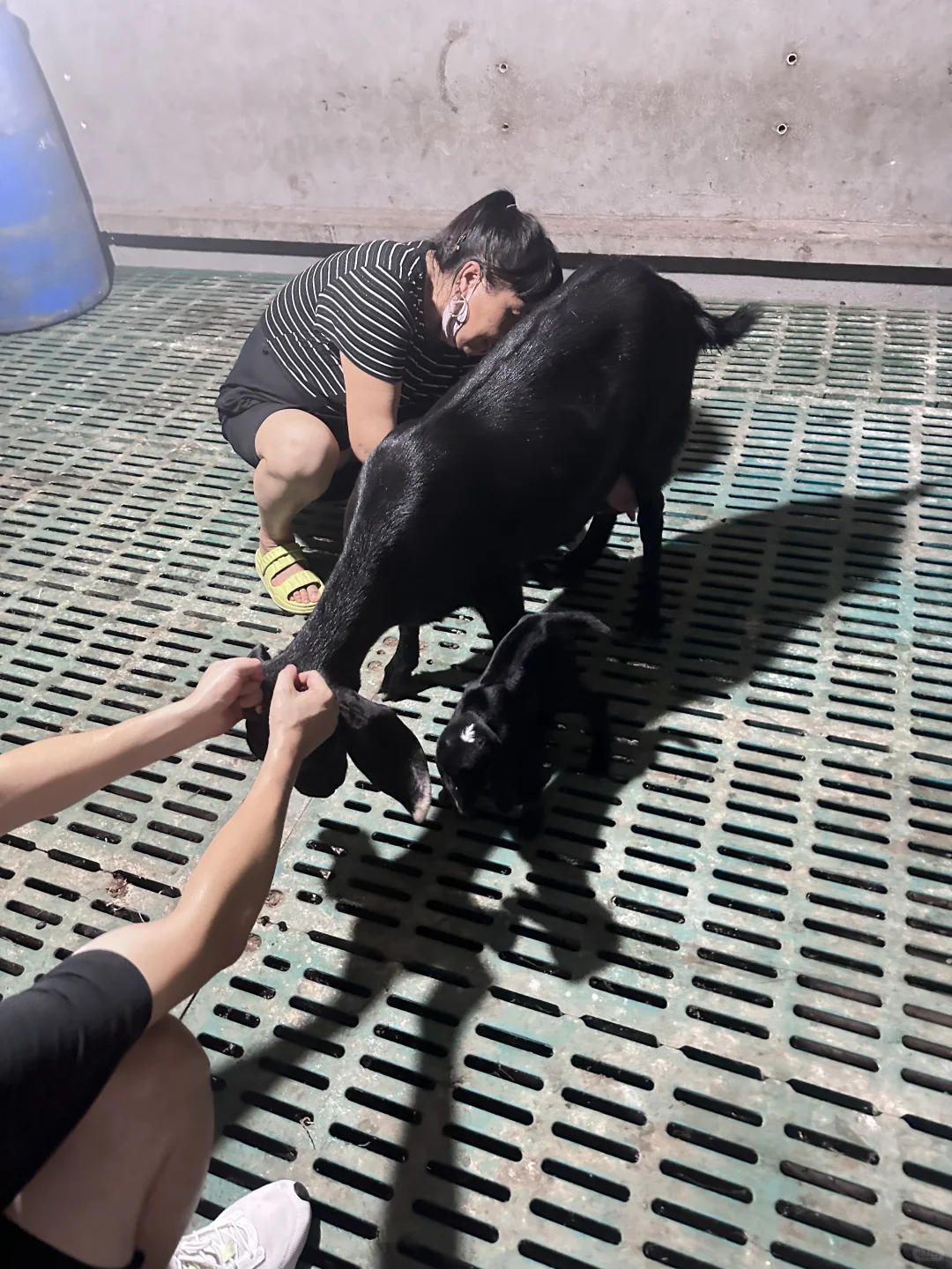 ��3�����治�ʺ����򣡱�äĿ�������Ǯ