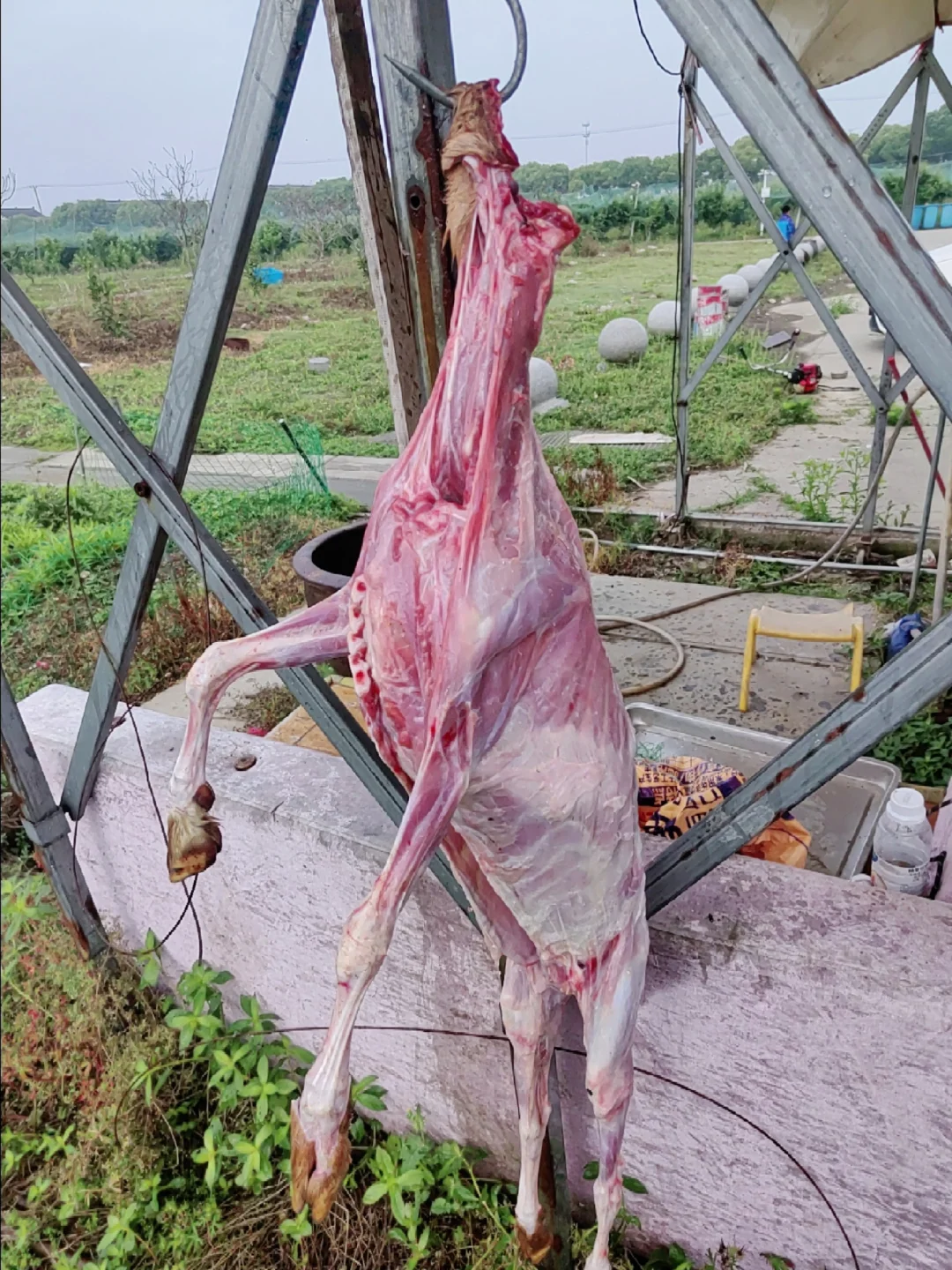 ������������Թ���