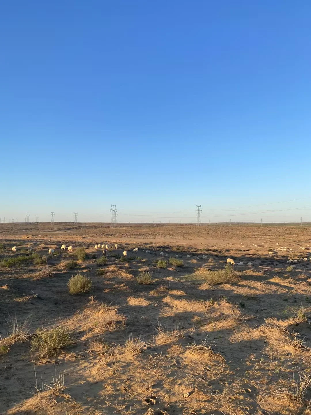 ��ʵ��������