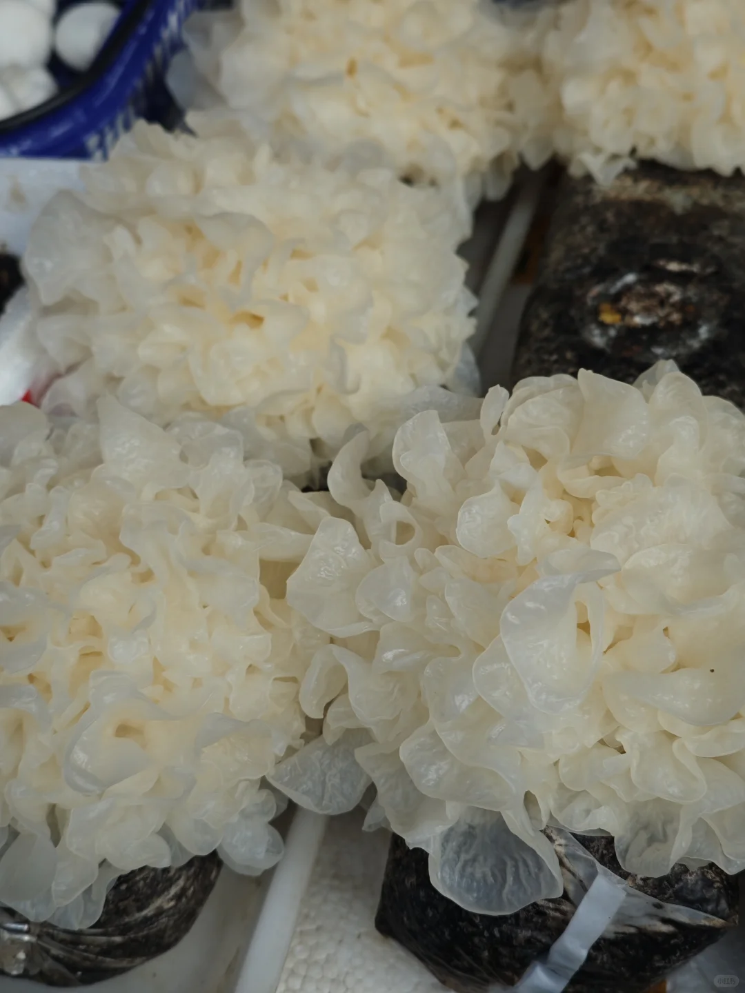 ���ʣ�����30һ�����