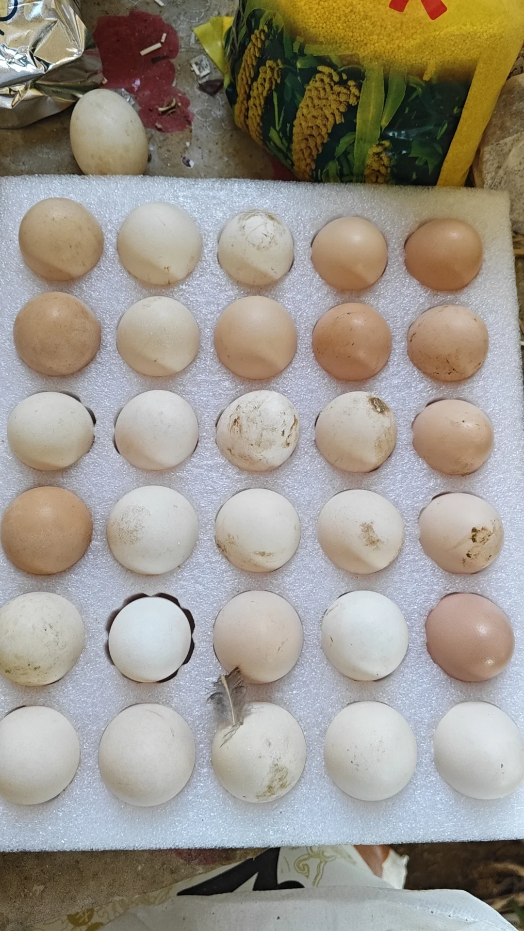 ������ҷ���������Ц��������Ҫ��