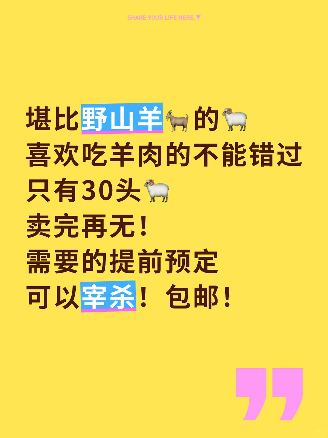 ��������ԵĿ�����