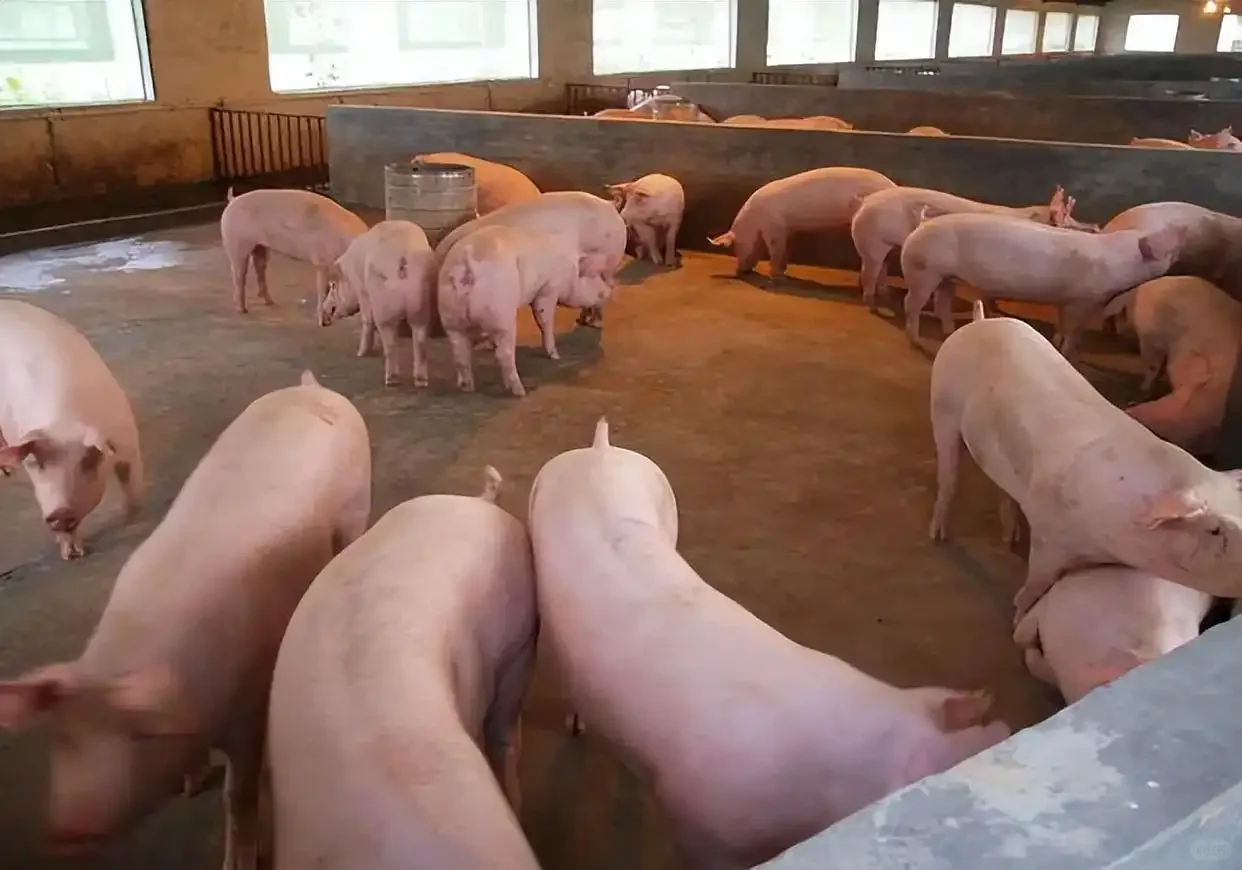 ����ǰ����������������ѧ�߷ʶ�׬һ�ʣ�