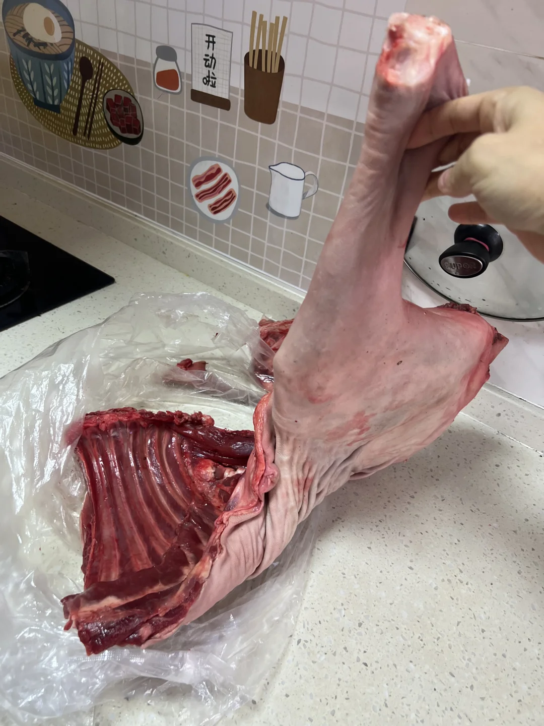 ���������