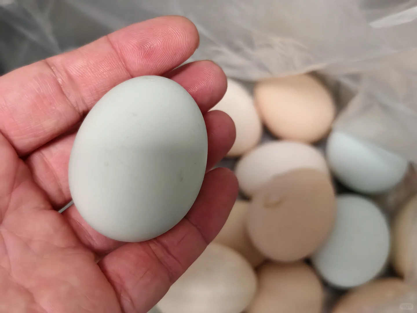 ��������ɡ�����Ǯһ�