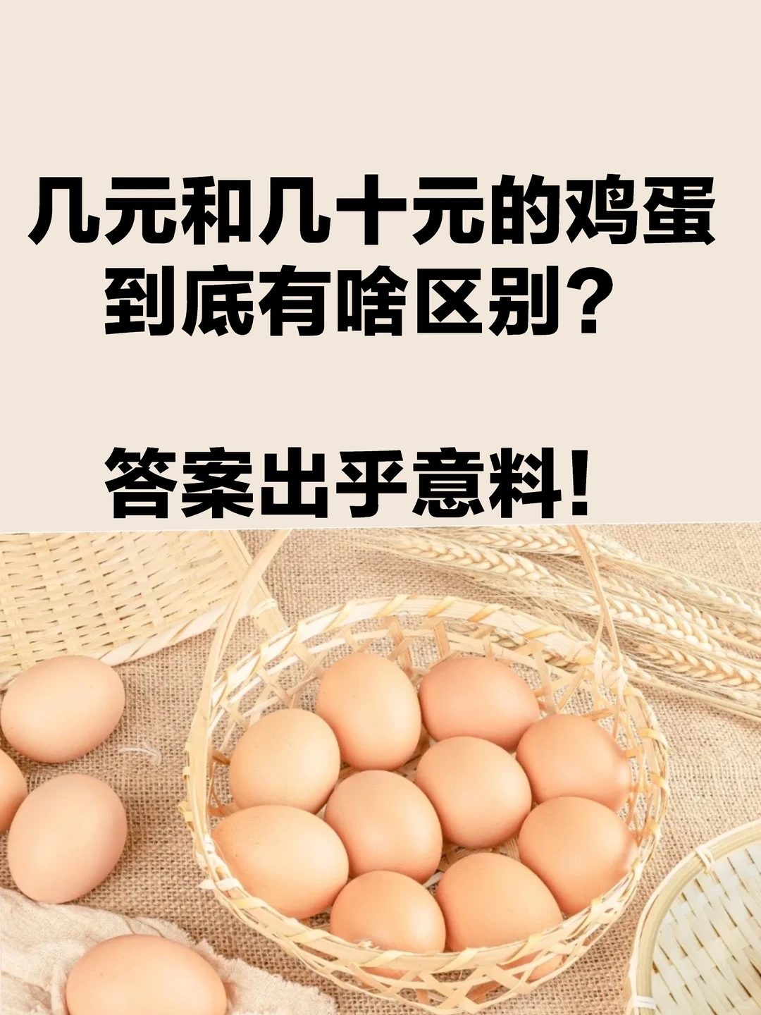 ��Ԫ�ͼ�ʮԪ�ļ�����������