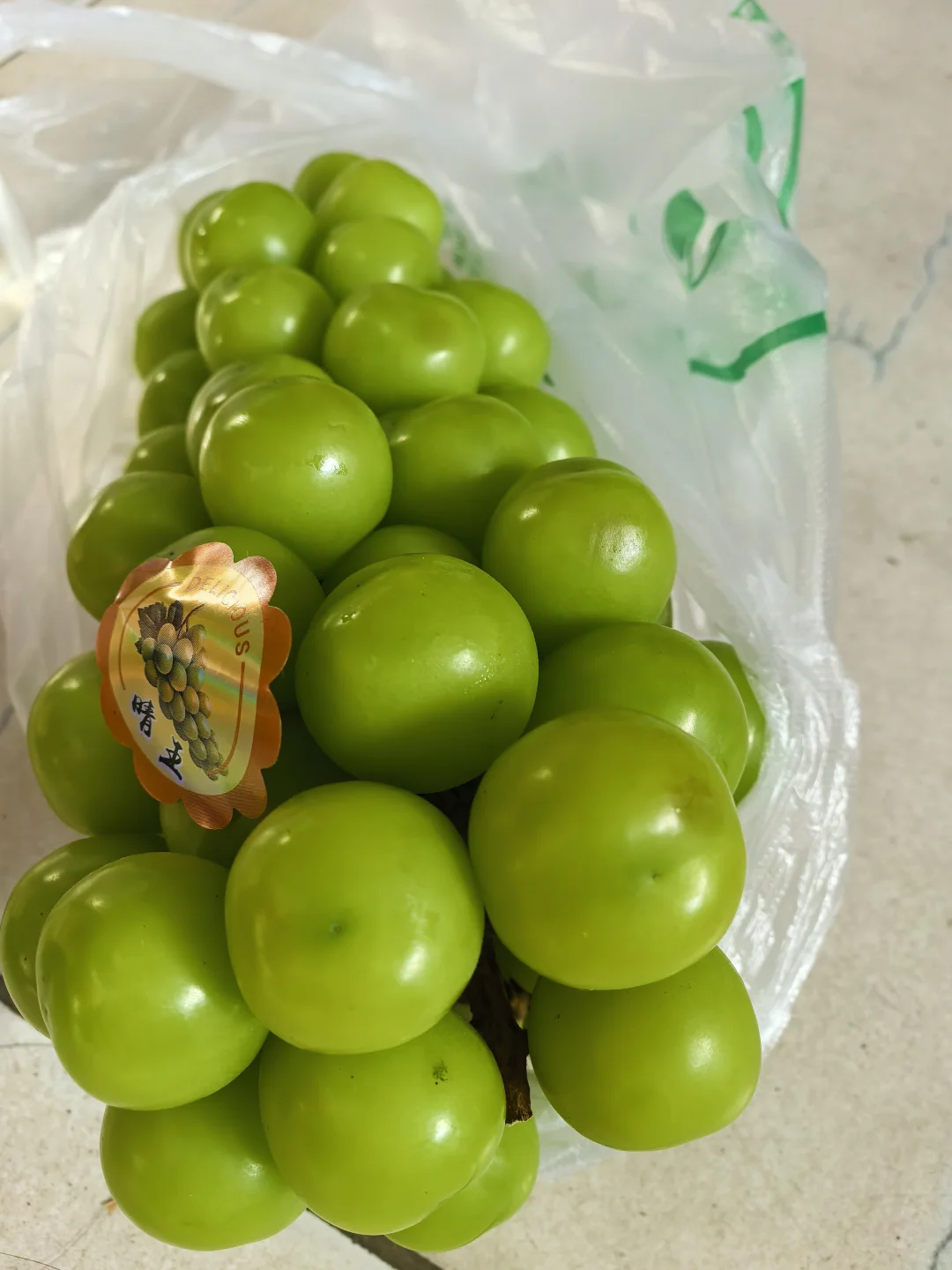 ����5.5һ�� ţ��35 �Ź�12