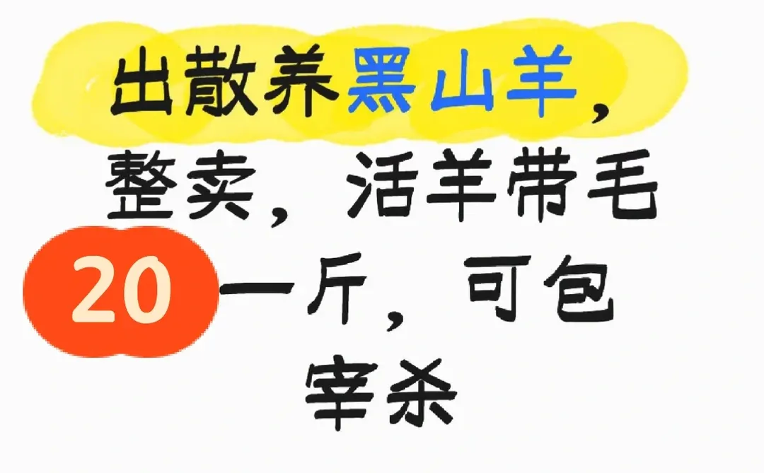 �ɶ����Լ��򣬿���ɱ