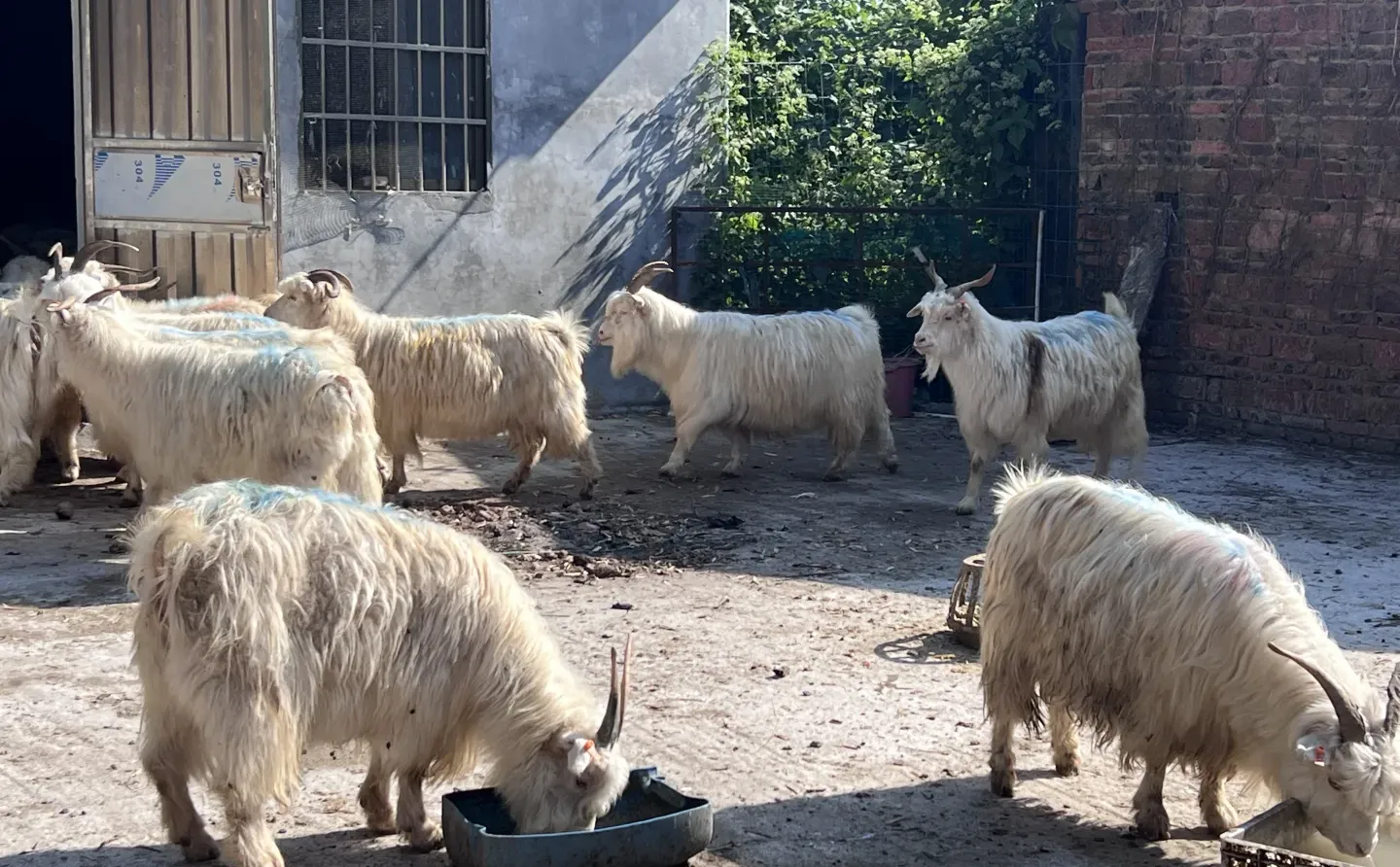 ����ɽ��17Ԫ