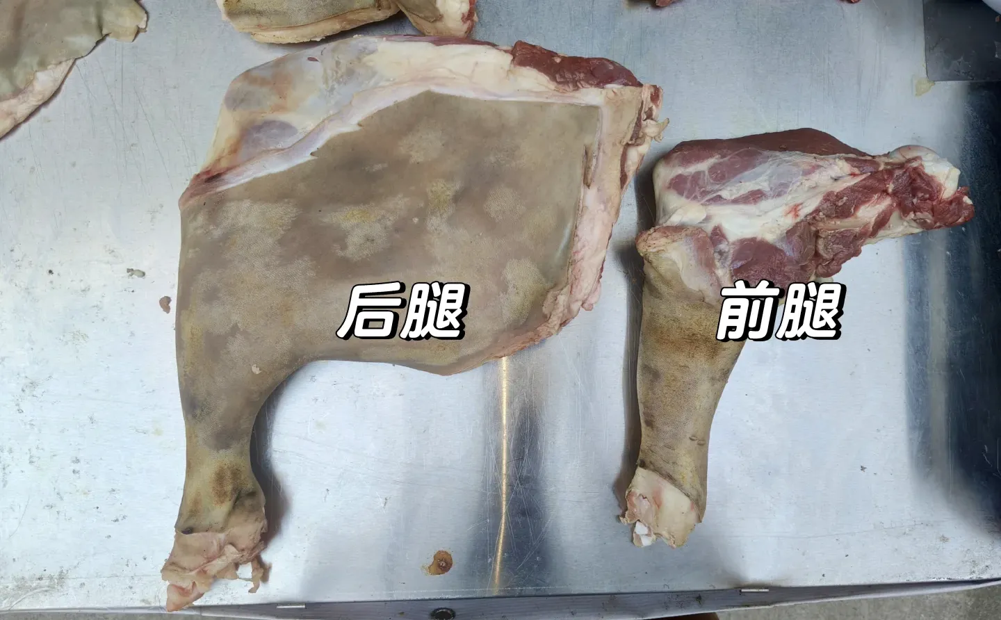 南雄散养黑山羊明码标价