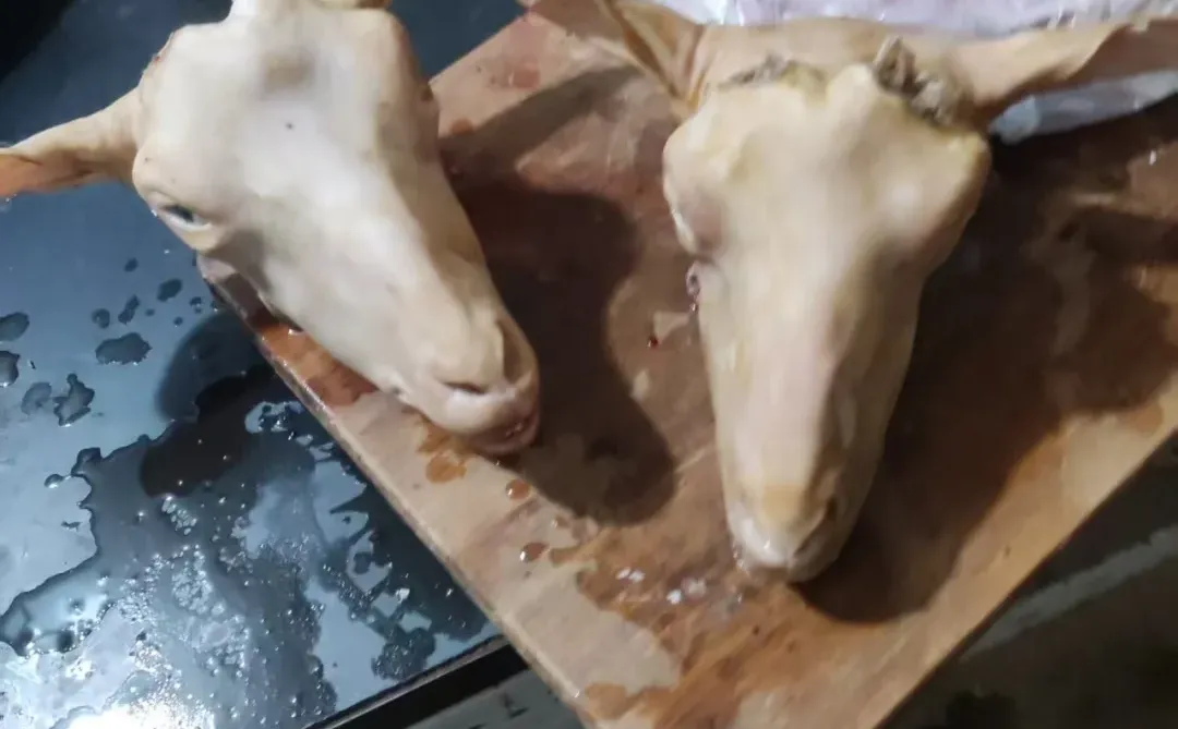 �±���ɽ�������