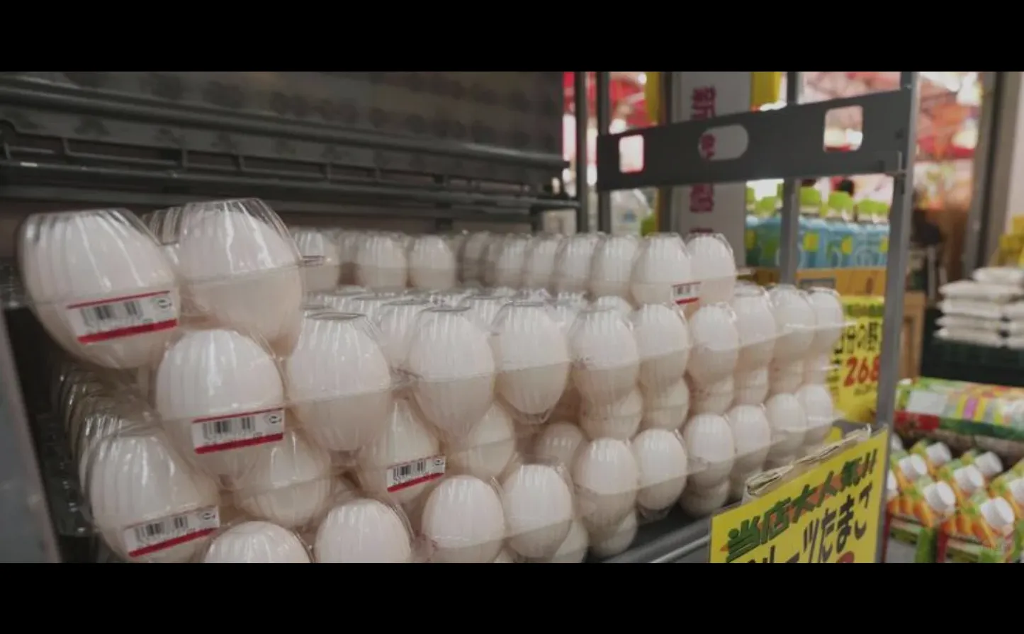 �ձ������۸��ٴ��¸�