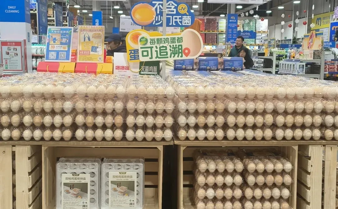 ������ļ������׳�ɶ���ˣ���