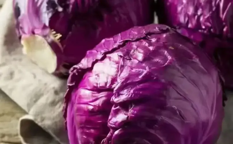 2025��12��10�������ũ�߲������۸�