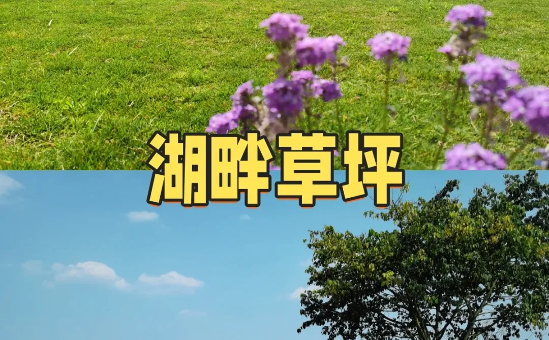 ��ݮ��������ժ��ݮ��