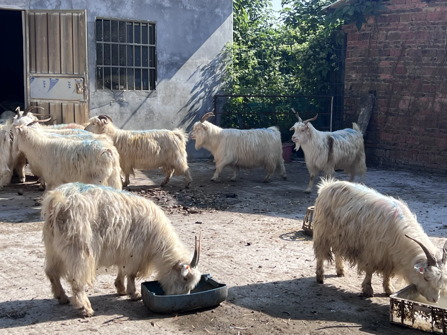 ����ɽ��17Ԫ